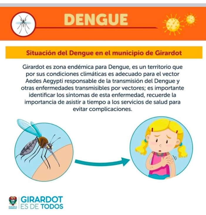 Video sobre dengue